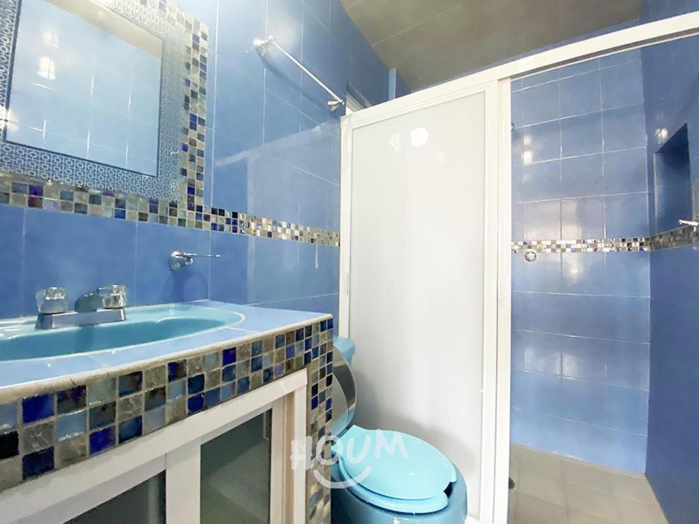 Hermoso Depa De 3 Recamaras Y 2 Banos En El Centro De Coyoacan Apartment Мексико Сити Екстериор снимка