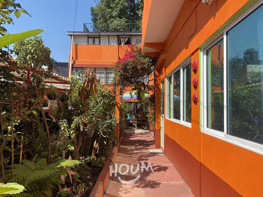 Hermoso Depa De 3 Recamaras Y 2 Banos En El Centro De Coyoacan Apartment Мексико Сити Екстериор снимка