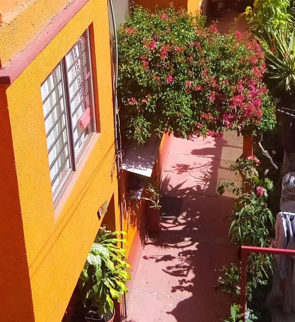 Hermoso Depa De 3 Recamaras Y 2 Banos En El Centro De Coyoacan Apartment Мексико Сити Екстериор снимка
